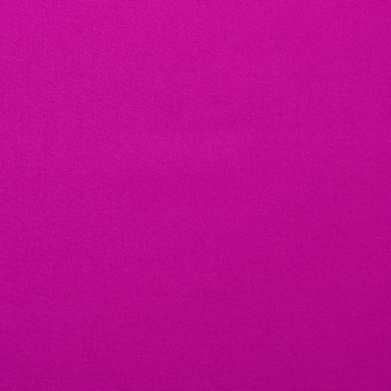 Фуксія Фуксія